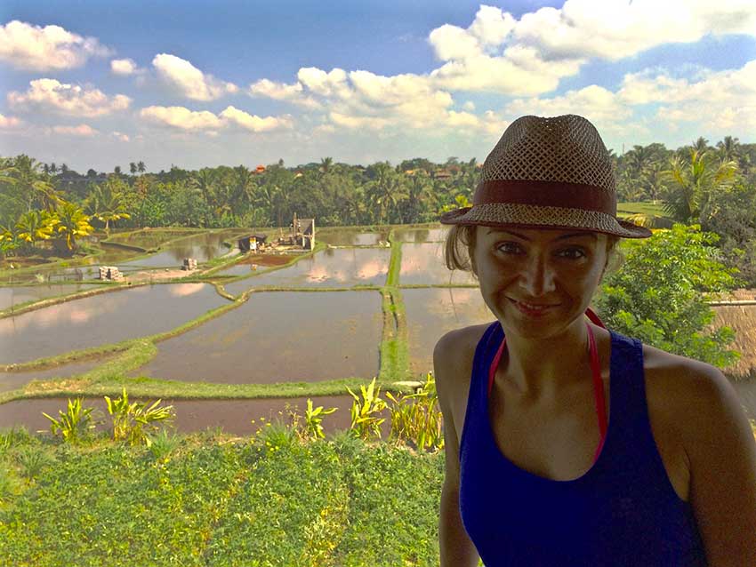 risaie a bali risaie a bali