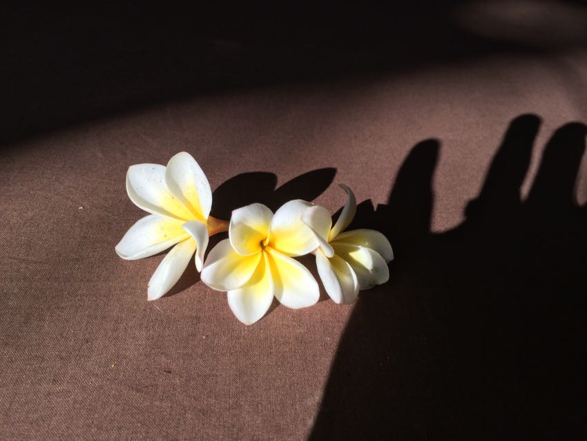 Il massaggio balinese - 9