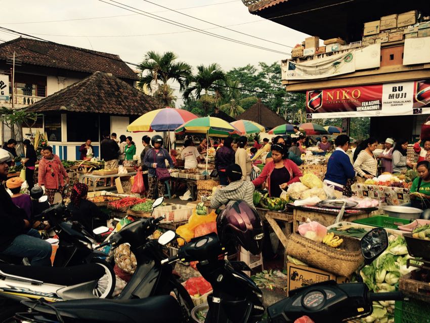 dintorni di ubud - 11