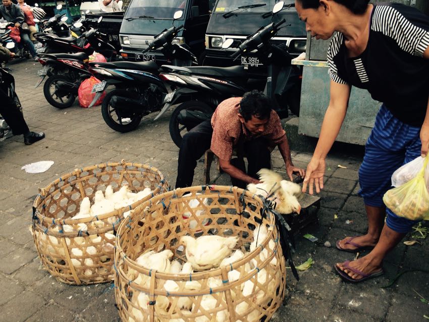 dintorni di ubud - 12