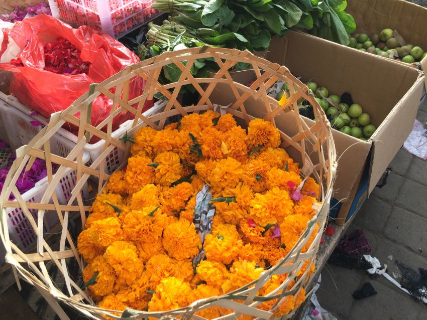 dintorni di ubud - 18