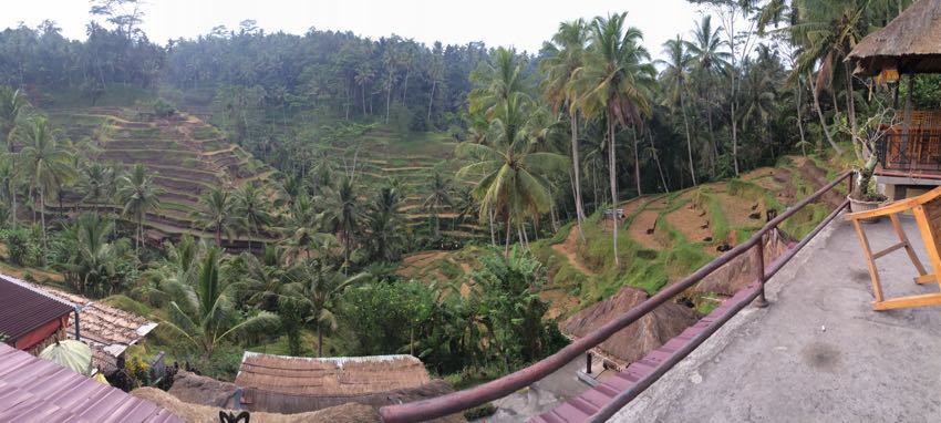 dintorni di ubud - 8