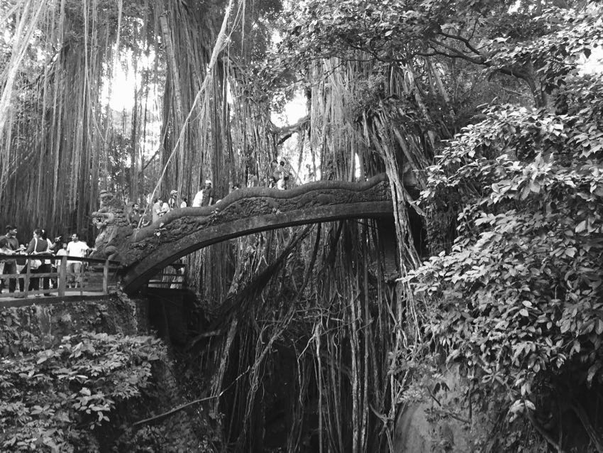 melo e mela a ubud.1 - 37