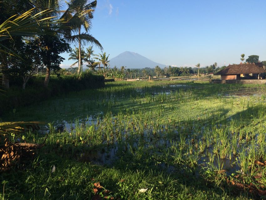 meteo Bali Ubud meteo Bali Ubud