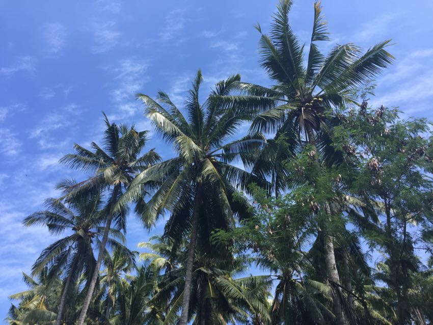 Bali meteo Ubud Bali meteo Ubud