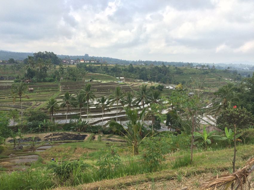 meteo a Bali entroterra meteo a Bali entroterra