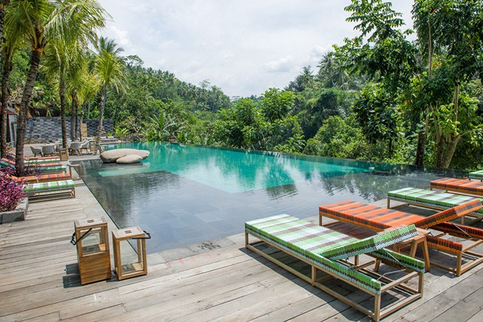 junglefish_ubud2