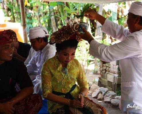 Moglie Bali Moglie Bali