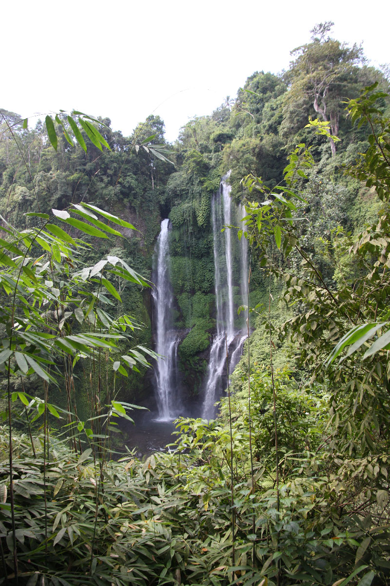 Cascate Sekumpul Cascate Sekumpul
