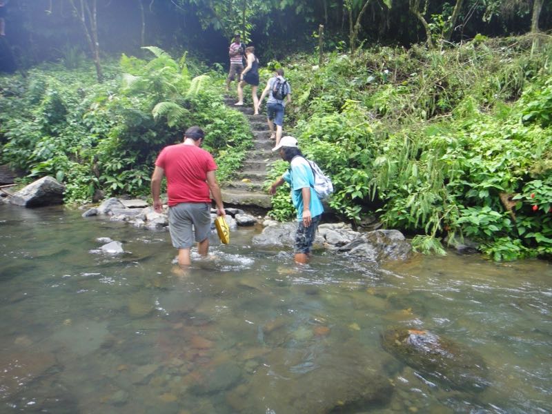 Trekking nella jungla